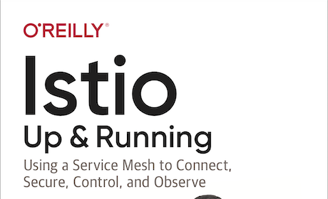 Istio: Up and Running